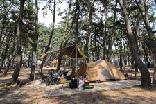 레인보우펜션 - 주변 여행 및 근처 관광 명소 - 국내 여행 정보와 관광 명소 정보