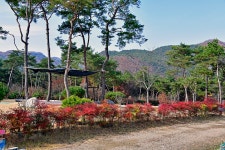 석곡장 (5, 10일) - 주변 여행 및 근처 관광 명소 - 국내 여행 정보와 관광 명소 정보