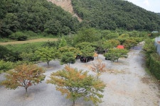 엄소리오토캠핑장 레저스포츠 정보와 주변 관광 명소 및 근처 맛집 여행 정보