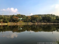 꽃다지쌈밥 - 주변 여행 및 근처 관광 명소 - 국내 여행 정보와 관광 명소 정보