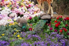 정일품 동성로 쇼핑 정보와 주변 관광 명소 및 근처 맛집 여행 정보