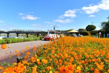 Foto aus Naver-Suchergebnissen 6