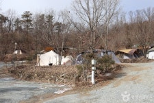 일월관광농원 레저스포츠 정보와 주변 관광 명소 및 근처 맛집 여행 정보