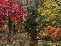 남원 아담원 관광 정보와 주변 관광 명소 및 근처 맛집 여행 정보