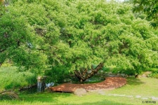 통영RCE세자트라숲 관광 정보와 주변 관광 명소 및 근처 맛집 여행 정보