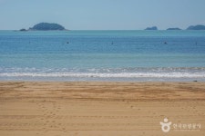 발포해수욕장 관광 정보와 주변 관광 명소 및 근처 맛집 여행 정보
