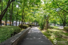 개나리공원 관광 정보와 주변 관광 명소 및 근처 맛집 여행 정보