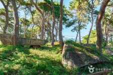 함평용월리지석묘군 관광 정보와 주변 관광 명소 및 근처 맛집 여행 정보