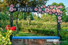 장미공원(창원) 관광 정보와 주변 관광 명소 및 근처 맛집 여행 정보