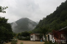 들꽃나라펜션 숙박 정보와 주변 관광 명소 및 근처 맛집 여행 정보