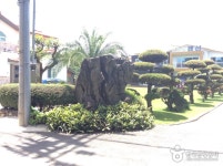 제주펜션 향림원 숙박 정보와 주변 관광 명소 및 근처 맛집 여행 정보