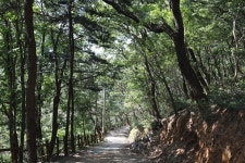 군산 신흥동 일본식가옥(히로쓰 가옥) - 주변 여행 및 근처 관광 명소 - 국내 여행 정보와 관광 명소 정보