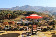 몽그리즈치즈카페 음식점 정보와 주변 관광 명소 및 근처 맛집 여행 정보