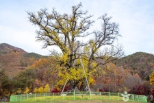 길안천지생태공원 - 주변 여행 및 근처 관광 명소 - 국내 여행 정보와 관광 명소 정보
