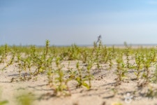 옥계해변 관광 정보와 주변 관광 명소 및 근처 맛집 여행 정보