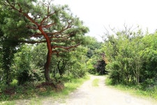 늘푸른숲 레저스포츠 정보와 주변 관광 명소 및 근처 맛집 여행 정보