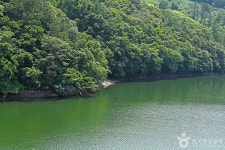 연곡저수지 관광 정보와 주변 관광 명소 및 근처 맛집 여행 정보