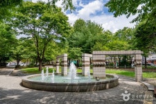 개나리공원 관광 정보와 주변 관광 명소 및 근처 맛집 여행 정보