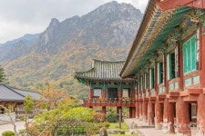 신흥사(설악산) 관광 정보와 주변 관광 명소 및 근처 맛집 여행 정보