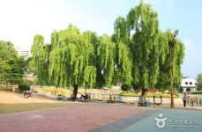 설성공원 관광 정보와 주변 관광 명소 및 근처 맛집 여행 정보