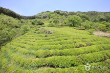 코스여행 | 구석구석 떠나볼까 | 대한민국구석구석