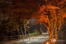 明洞 南大門 北倉洞 茶洞武橋洞 観光特区（명동 남대문 북창동 다동무교동 관광특구） - 観光 - 韓国旅行・観光情報