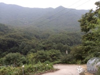 포천 허브아일랜드 | NOL 인터파크투어 프리야 여행정보 [대한민국>경기도 포천시] 여기 가고싶어요! [포천 허브아일랜드]... 