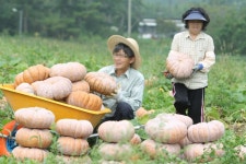참샘골 호박농원 - 관광지정보 | 어디로 갈까 | 대한민국구석구석