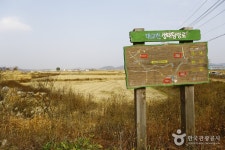 한여울 6코스 레저스포츠 정보와 주변 관광 명소 및 근처 맛집 여행 정보