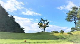 우리벨리 - 주변 여행 및 근처 관광 명소 - 국내 여행 정보와 관광 명소 정보