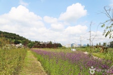 수남유수지생태공원 관광 정보와 주변 관광 명소 및 근처 맛집 여행 정보