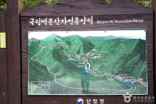 국립 백운산자연휴양림(원주) 관광 정보와 주변 관광 명소 및 근처 맛집 여행 정보