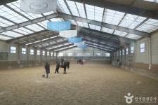 청학승마클럽 레저스포츠 정보와 주변 관광 명소 및 근처 맛집 여행 정보