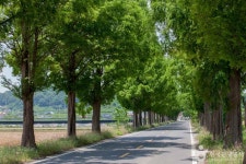 공무원연금공단 김해상록골프클럽 - 주변 여행 및 근처 관광 명소 - 국내 여행 정보와 관광 명소 정보