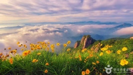 광운농촌교육농장(광운관광농원) - 주변 여행 및 근처 관광 명소 - 국내 여행 정보와 관광 명소 정보