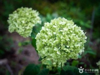 임계사통팔달시장 (5, 10일) - 주변 여행 및 근처 관광 명소 - 국내 여행 정보와 관광 명소 정보