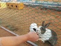 나눔농장(파주) 관광 정보와 주변 관광 명소 및 근처 맛집 여행 정보