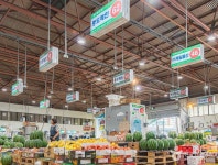 광주각화농산물도매시장 쇼핑 정보와 주변 관광 명소 및 근처 맛집 여행 정보