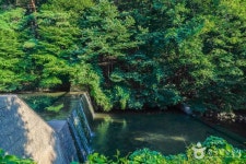 금화계곡 관광 정보와 주변 관광 명소 및 근처 맛집 여행 정보