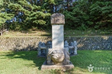 캠프향기 - 주변 여행 및 근처 관광 명소 - 국내 여행 정보와 관광 명소 정보