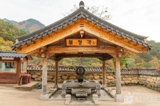 신흥사(설악산) 관광 정보와 주변 관광 명소 및 근처 맛집 여행 정보