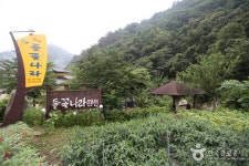 들꽃나라펜션 숙박 정보와 주변 관광 명소 및 근처 맛집 여행 정보