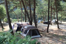 리버힐즈오토캠핑장 - 주변 여행 및 근처 관광 명소 - 국내 여행 정보와 관광 명소 정보