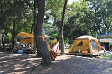 농어바위캠핑장 - 주변 여행 및 근처 관광 명소 - 국내 여행 정보와 관광 명소 정보