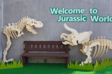 안면도쥬라기공원 - 주변 여행 및 근처 관광 명소 - 국내 여행 정보와 관광 명소 정보