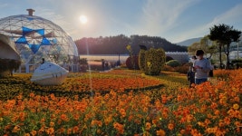 Geoje Island Flower Festival (거제섬꽃축제) - Festivals - Korea travel and tourism information