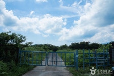 수망리 마흐니숲길 관광 정보와 주변 관광 명소 및 근처 맛집 여행 정보