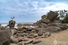 송지호해안 서낭바위 (강원평화지역 국가지질공원) 관광 정보와 주변 관광 명소 및 근처 맛집 여행 정보