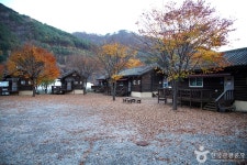 홍천 살둔마을 관광 정보와 주변 관광 명소 및 근처 맛집 여행 정보