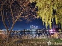 Suseongmot Lake Resort (수성못 유원지) - Sightseeing - Korea travel and tourism information